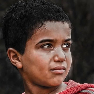 5iMD3npf4qvmIP8's profile picture. 