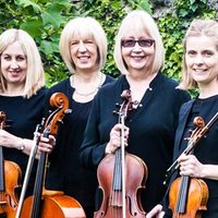 Sole Bay Strings (@solebaystrings) 's Twitter Profile