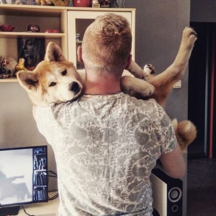 Jakub45735417's profile picture. Manager in @Orange_Polska &
Proud Akita Inu Owner


instagram :lis_polarny