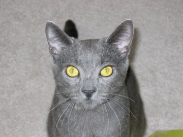 lbprince's profile picture. The official site of my unofficial updates.