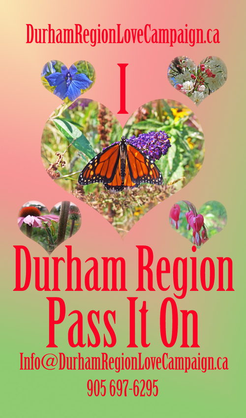 Focusing on the positivity, beauty and love found within Durham Region Canada.