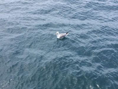 ritaravaglioli's profile picture. 