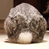 Lindy (@thelolarabbit) 's Twitter Profile