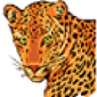 Lime Kiln MS (@hcpss_lkms) 's Twitter Profile