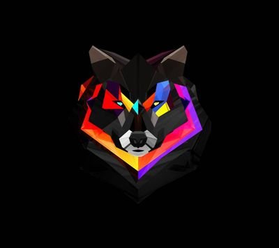 WolvesMVP's profile picture. 