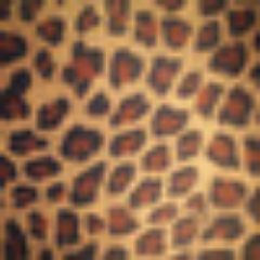 ChaqueAzulu's profile picture. 