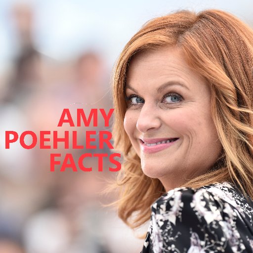 Amy Poehler Facts (@amypoehlerfacts) | Twitter