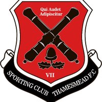 SCThamesmeadYouth fc (@sctyouth) 's Twitter Profile