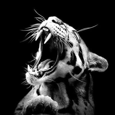 freakchild7's profile picture. Do not judge my story by the chapter you walked in on