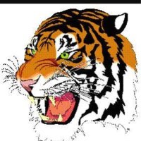 Trenton High School (@t_towntigers) 's Twitter Profile