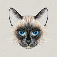 Санкт-Oblomov (@st_oblomov) Twitter profile photo