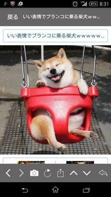 shibachibaken's profile picture. ひまつぶしに見るだけです!
もしくは日記的なひとりごと。

勝手にフォローしてごめんなさい！

ただのくそ雑魚コミュ障なハゲデブおっさん。
社交性はありません！たぶん害もない！
釣りしてらーめん食べてヘラヘラ生きてます。