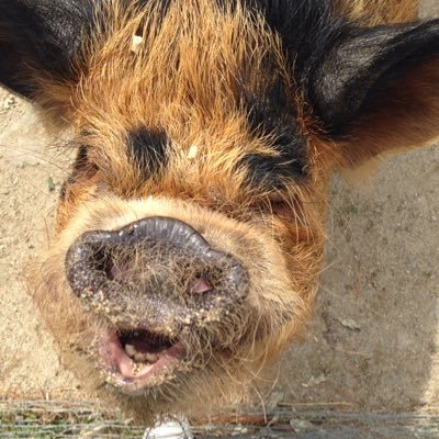 RJSRudge's profile picture. mum to one human and one fur baby, wife and career woman who wants it all.  Can you have your cake and eat it???  I'm sure as hell going to try.