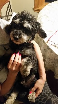 AlexanderRio90's profile picture. Phys. Ed. teacher and Environmental Consultant and Researcher.