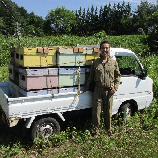 sendme19's profile picture. 八ヶ岳在中の自由と音楽を愛するギター弾き、スナフキン養蜂家&はちみつ、プロポリス屋さんです。 通訳（英語）もやってます。どうぞよろしく。