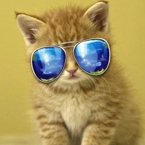 KyzaTV2's profile picture. Idk what to put as my bio