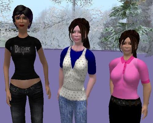 3 Media students & Second Life members seeking to explore the hypersexualization of women in online worlds. We follow back !