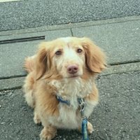 くまごろうくまがや (@kumagoro_kmgy) 's Twitter Profile Photo