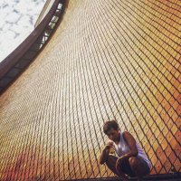 Jesse Chen (@jessechen17) 's Twitter Profile