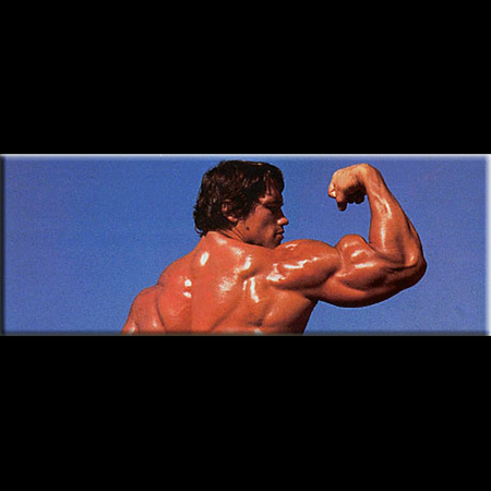 topmusclenews's profile picture. I enjoy staying in shape