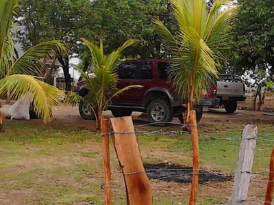 oswacol34's profile picture. Contador Publico, empedernido luchador por lo justo, humilde, amplio y sencillo. en lugar de retaliacion vamos mejor a revisar, rectificar y reimpulzar.