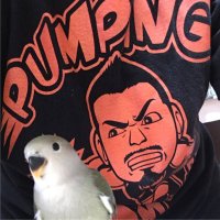 はる(•ө•) (@tantomisto) 's Twitter Profile