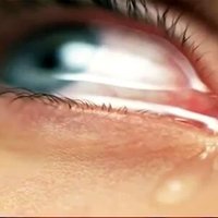 Hakeem (@hakeem74296980) 's Twitter Profile