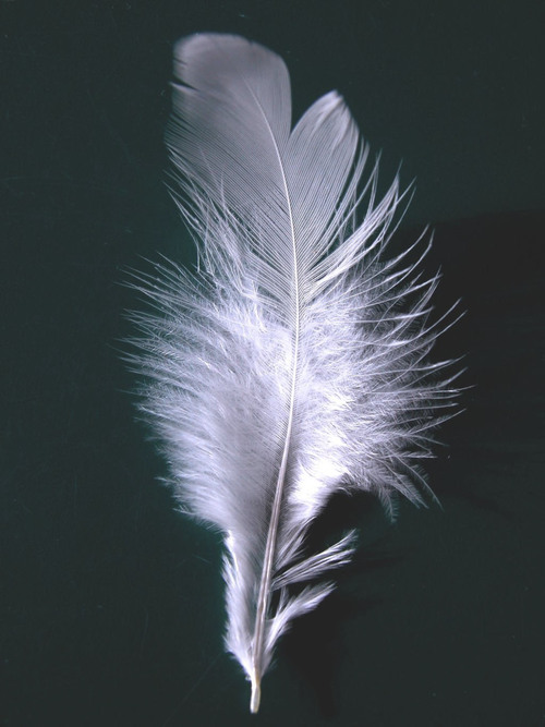 Experimental theatre collective, dedicated to creating new and innovative work.