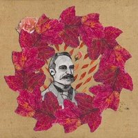 The Hardy Perennials (@perennialshardy) 's Twitter Profile