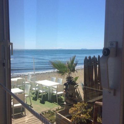 VivMcCurdy's profile picture. 