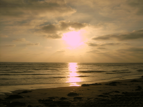Random San Diego Guide - Entertainment, Events, Things-to-do, Movies, Concerts, Travel, Vacation, Deals, Discounts, Coupons...