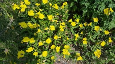 bukbu1402's profile picture. ㅡㅡ