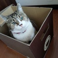 ユッキー☆★【サキヤマニア】 (@yukki_2000) 's Twitter Profile