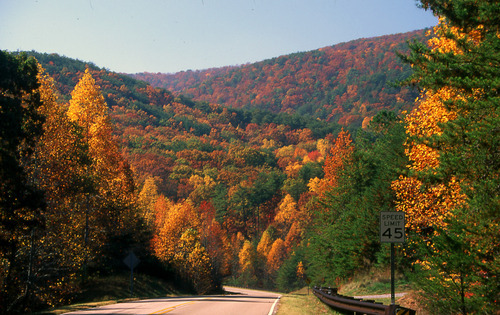 Protecting the scenic character of Alabama's roadways and communities from billboard blight and sign clutter. Promoting scenic beauty in Alabama the Beautiful.