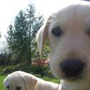 elsa spencer - @elsasday - Twitter