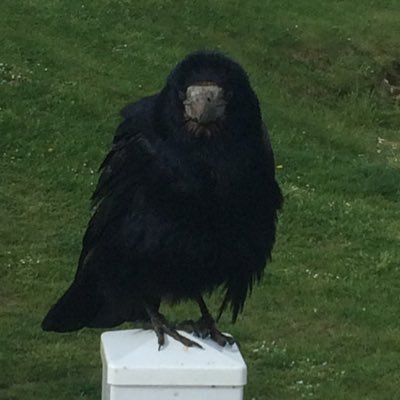 jojomct's profile picture. 30something