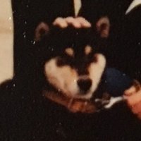 ヒラカワ水平対向 (@2pucjvljkzl5cca) 's Twitter Profile Photo ヒラカワ水平対向 (@2pucjvljkzl5cca) 's Twitter Profile Photo