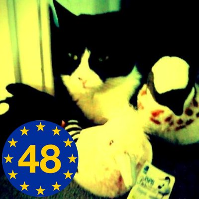 Proud to be Irish/Scottish and an EU citizen. Owner of two zesty black cats and tweeting on social and political issues.