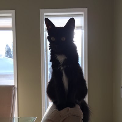 The_Grzy's profile picture. 