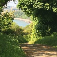Sue Thomas (@selthomas) 's Twitter Profile