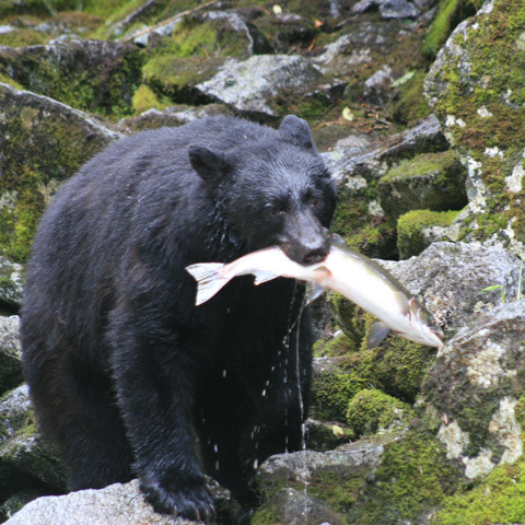 TravelWonders's profile picture. Traveller (80+ countries), Blogger, keen sports follower, hiker, tennis player, photographer, Australian