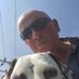 Miles edward webb (@dogsabound1) Twitter profile photo Miles edward webb (@dogsabound1) Twitter profile photo