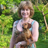 Carols (@carol2sullivan) 's Twitter Profile