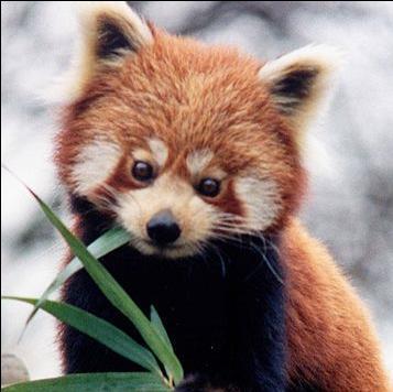 RichterCa's profile picture. 