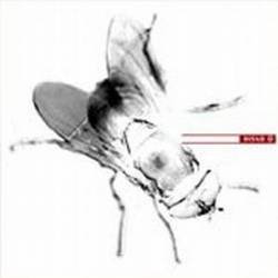 elPepe593's profile picture. El pepe, si, así de sencillo....