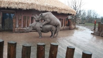 lloid440's profile picture. RMS technician, fieldsman, hobby farmer and proud father