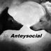 anteysocial (@anteysocial) Twitter profile photo anteysocial (@anteysocial) Twitter profile photo