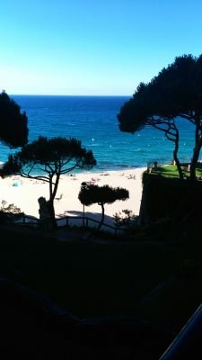 toni_lendi's profile picture. 