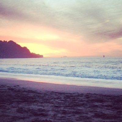 Jesbot's profile picture. 