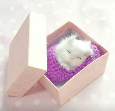 al_2b's profile picture. Electrical power engineering